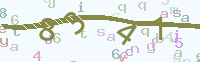 کد را تأیید کنید